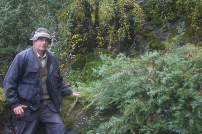 brake&amp;risgard Nils 2 046