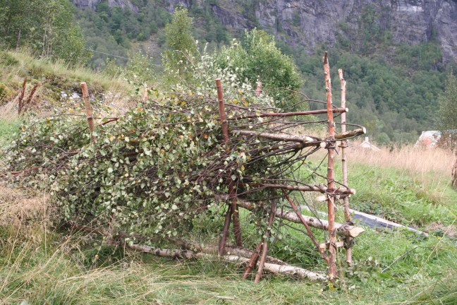 brake&amp;risgardprosjekt Knut 096