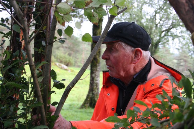 brake&amp;risgardprosjekt Olav 077