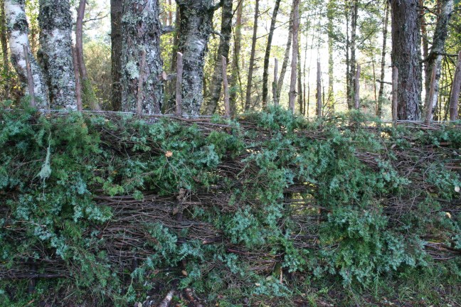 Brake&amp;risgardprosjekt1 039