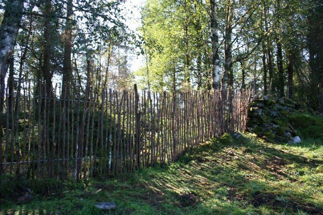 Brake&amp;risgardprosjekt1 044