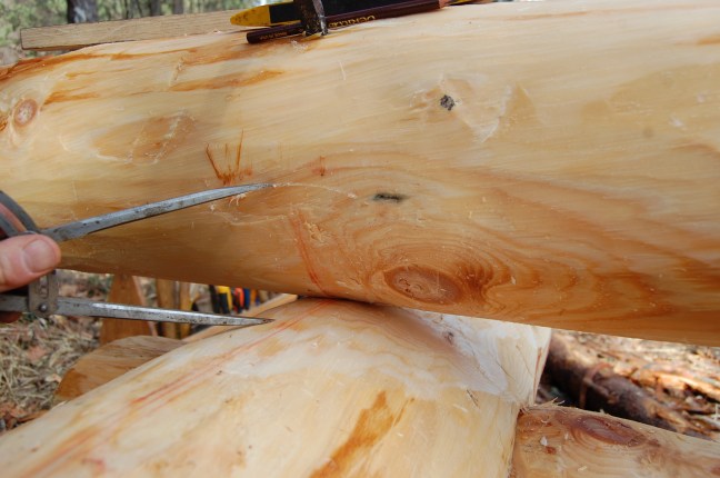 Oppmerking hugging (13)