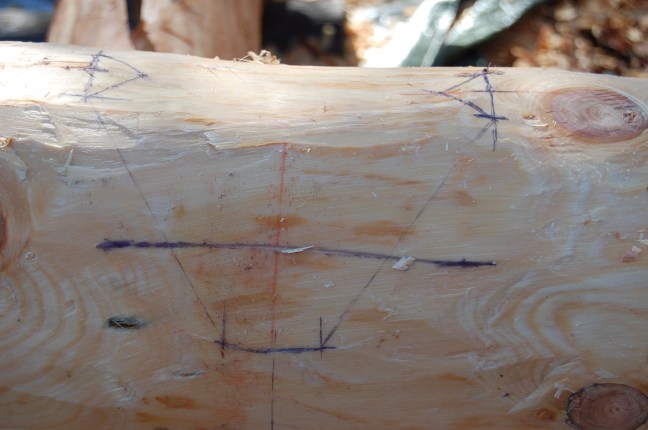 Oppmerking hugging (30)