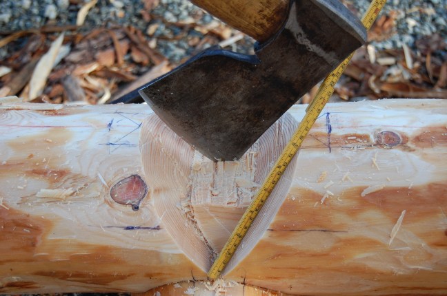 Oppmerking hugging (37)