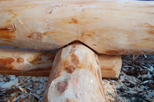 Oppmerking hugging (48)