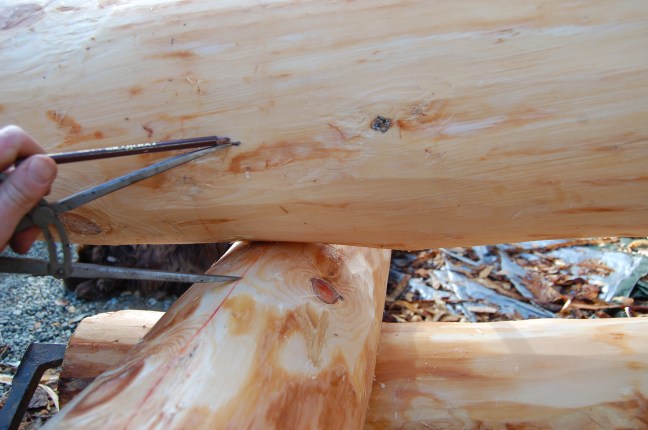 Oppmerking hugging (5)