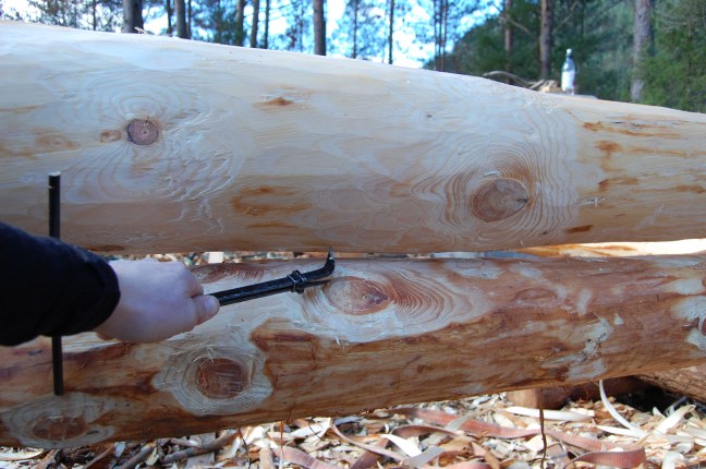 Oppmerking hugging (51)