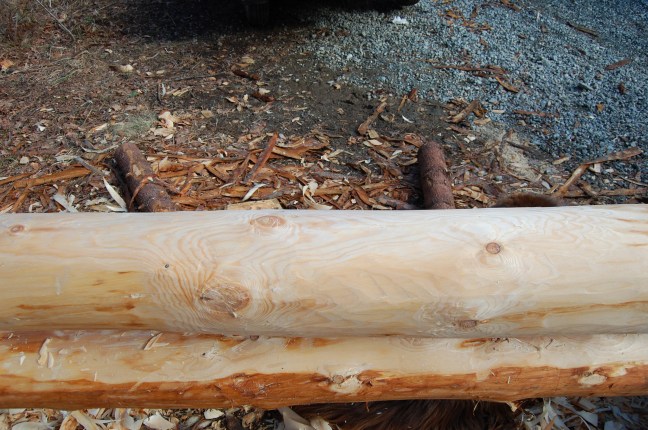 Oppmerking hugging (54)