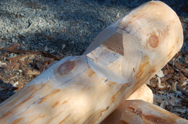 Oppmerking hugging (80)