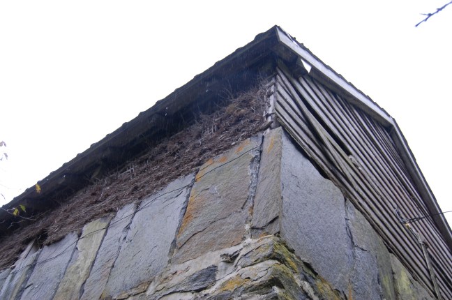 foto: Tor Wathne - 05